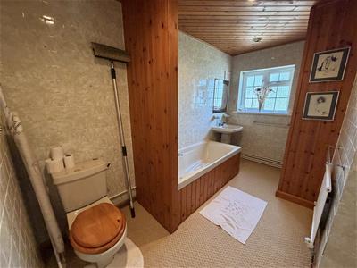 Picture 19